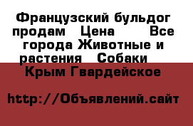 Французский бульдог продам › Цена ­ 1 - Все города Животные и растения » Собаки   . Крым,Гвардейское